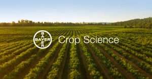 Read more about the article Customer Case – Bayer Crop Science
